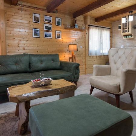 Brvnare Krstigora Villa Zaovine Exteriör bild