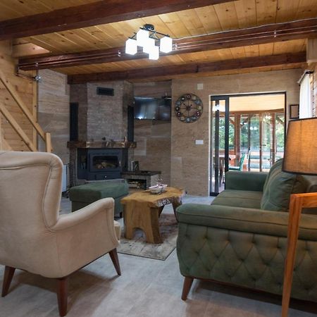 Brvnare Krstigora Villa Zaovine Exteriör bild