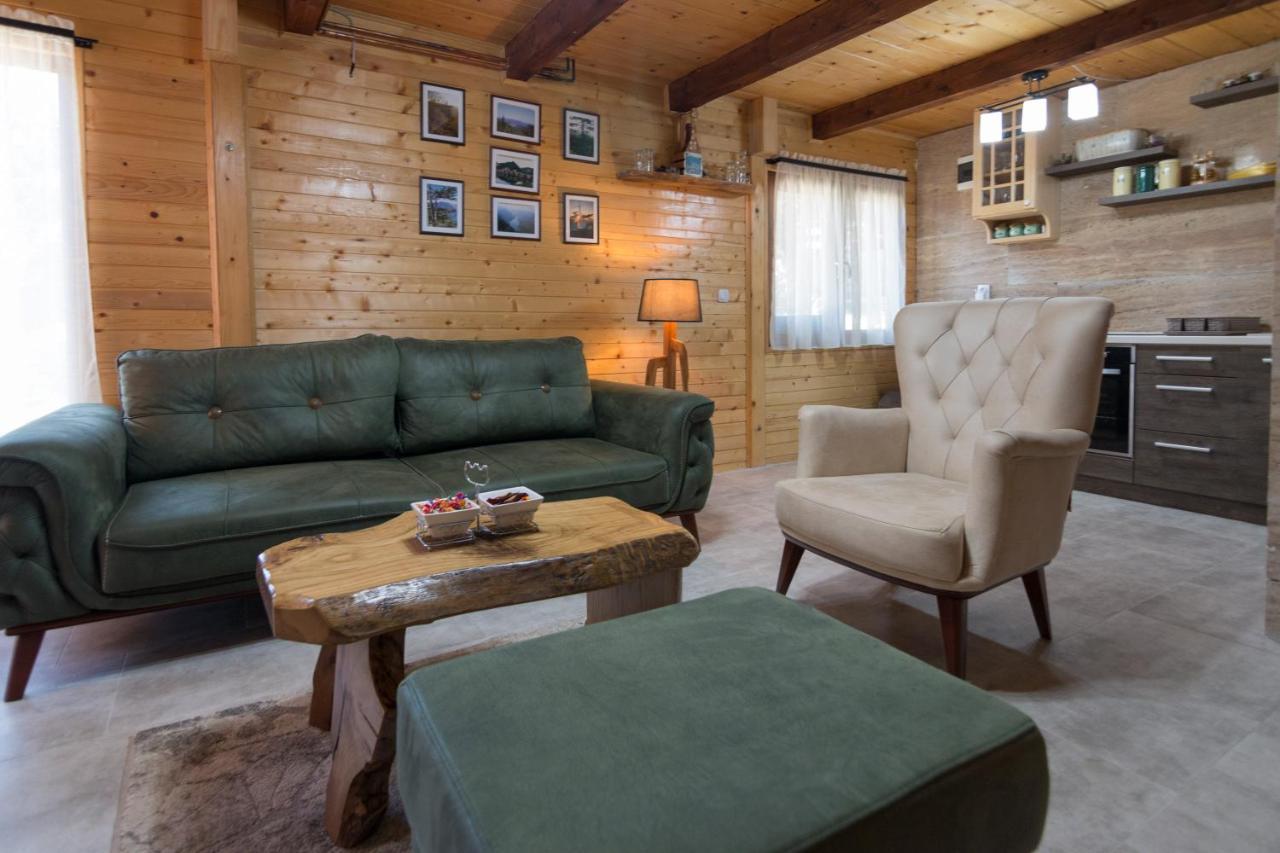Brvnare Krstigora Villa Zaovine Exteriör bild