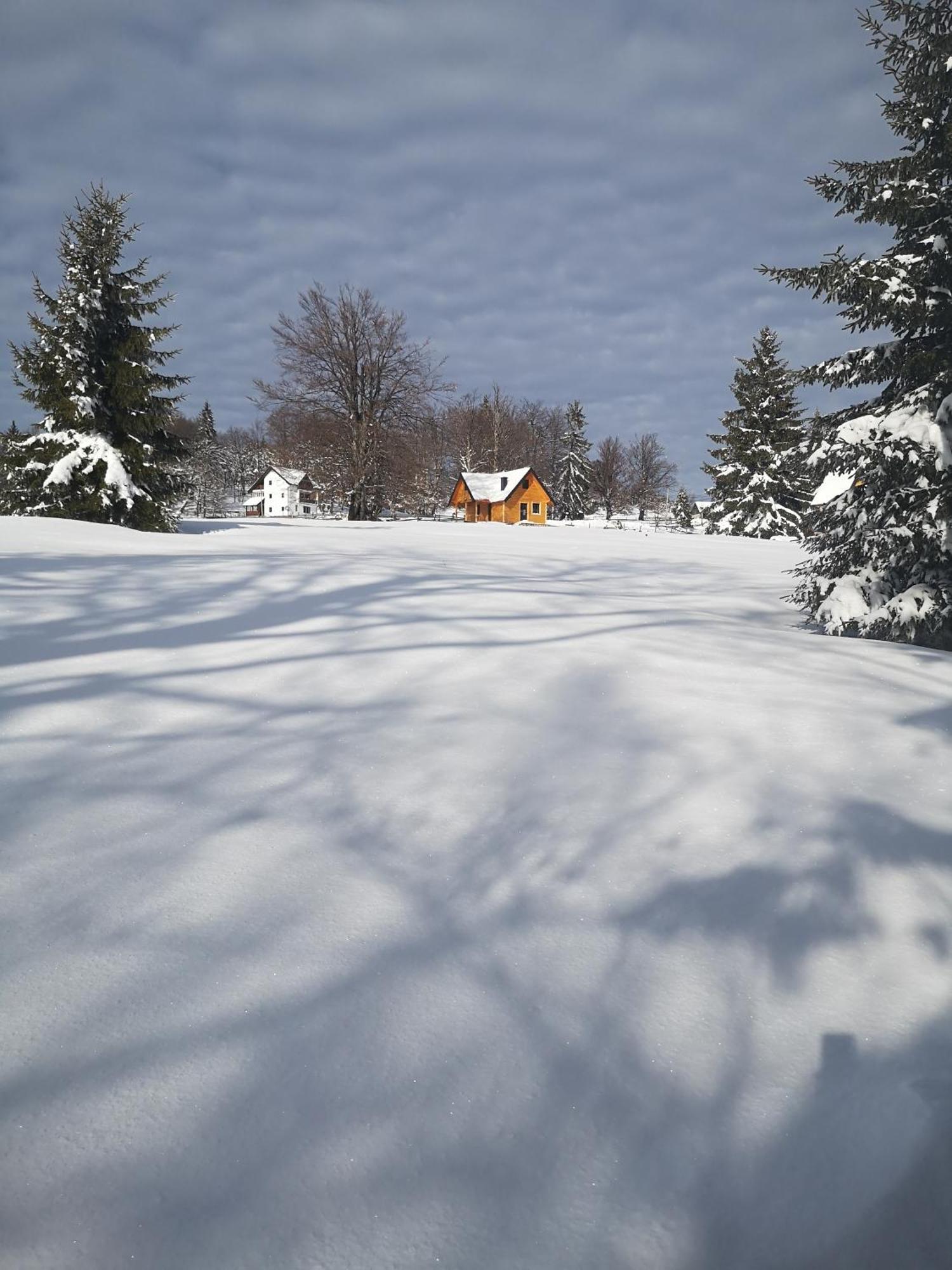 Brvnare Krstigora Villa Zaovine Rum bild